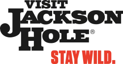 Director of Marketing & Sales